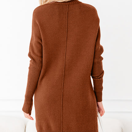 Chestnut Ribbed High Neck Front Pockets Center Seam Shift Sweater Dress